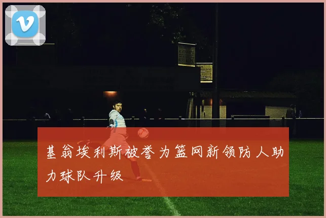 基翁埃利斯被誉为篮网新领防人助力球队升级