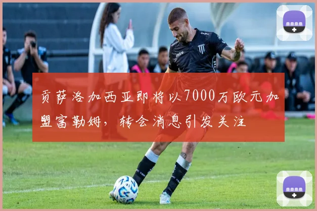 贡萨洛加西亚即将以7000万欧元加盟富勒姆,转会消息引发关注