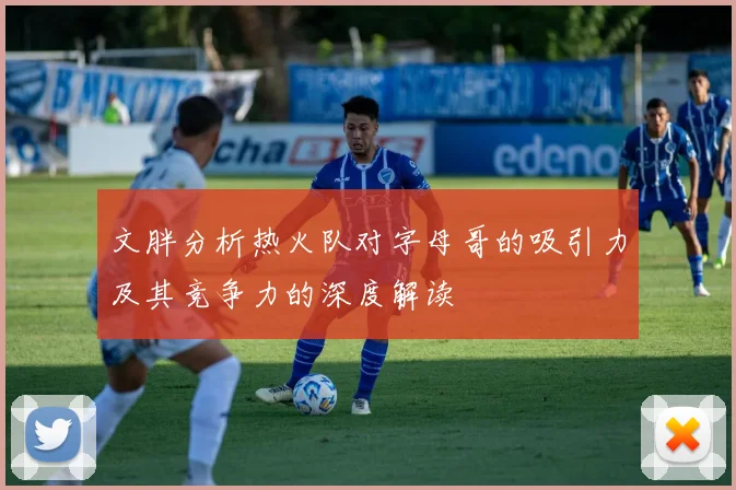 文胖分析热火队对字母哥的吸引力及其竞争力的深度解读
