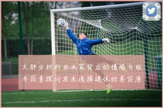 文胖分析科尔决策背后的情感与经济因素探讨其未选择退休的真实原因